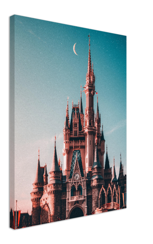 Walt Disney Castle - Print - MetalPlex