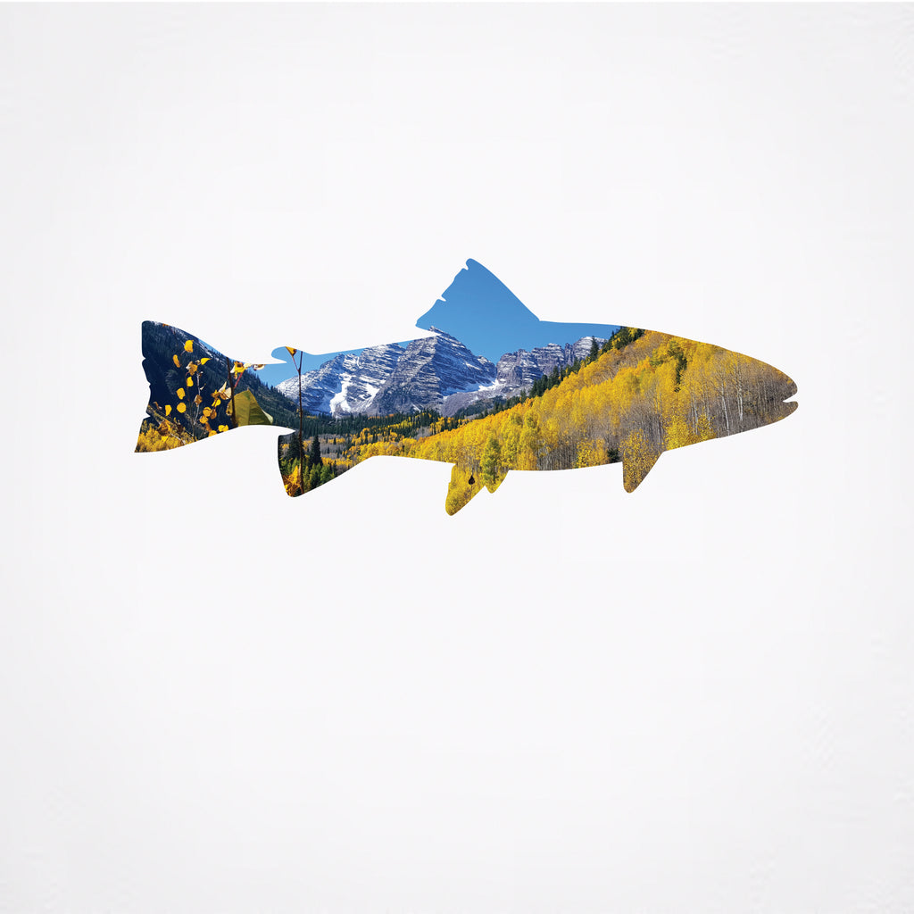 Maroon Bells Trout- Metal Wall Art - MetalPlex