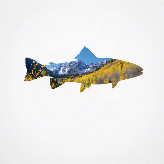 Maroon Bells Trout- Metal Wall Art