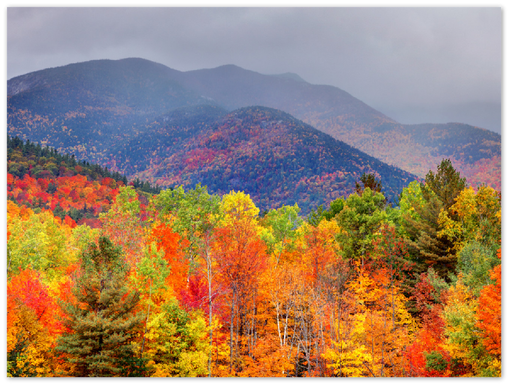 Fall Adirondack Mountains - Print - MetalPlex
