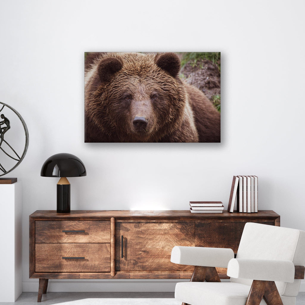 Brown Bear - Print - MetalPlex