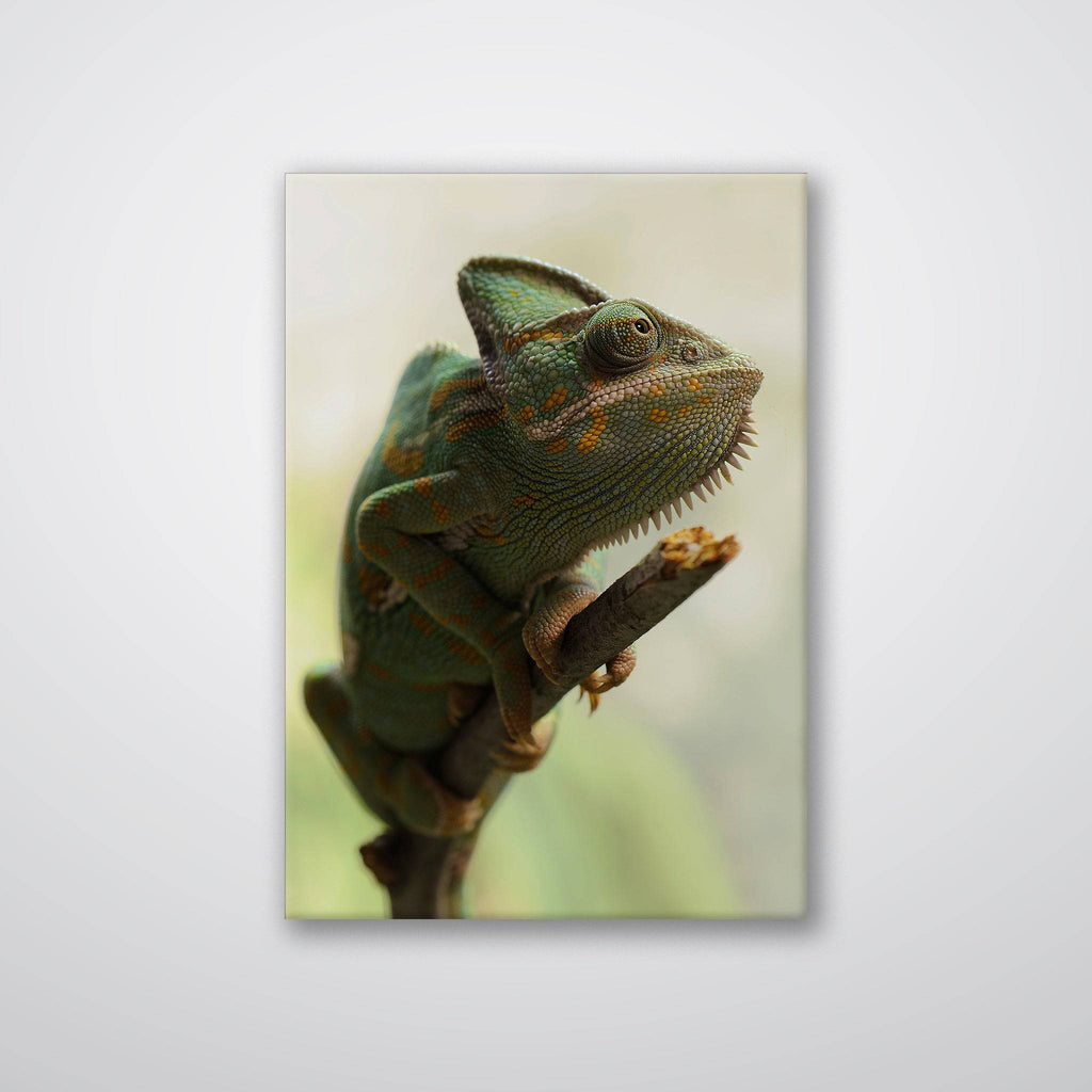 Climbing Chameleon - Print - MetalPlex