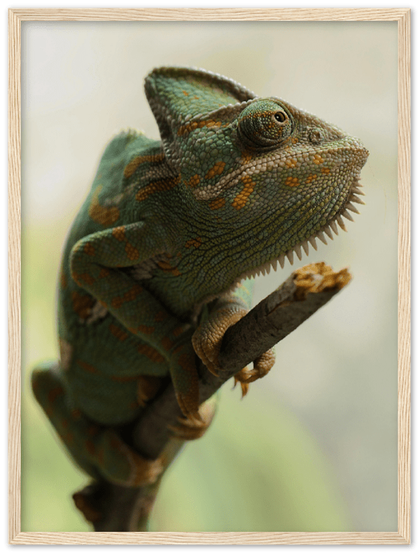 Climbing Chameleon - Print - MetalPlex