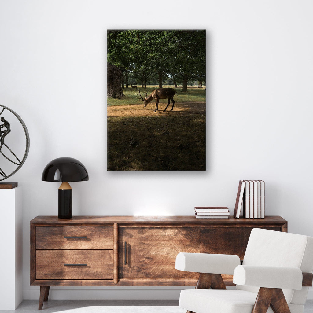 Deer in Sunlight - Print - MetalPlex