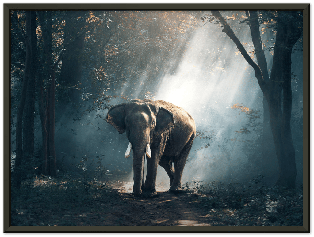 Elephant - Print - MetalPlex