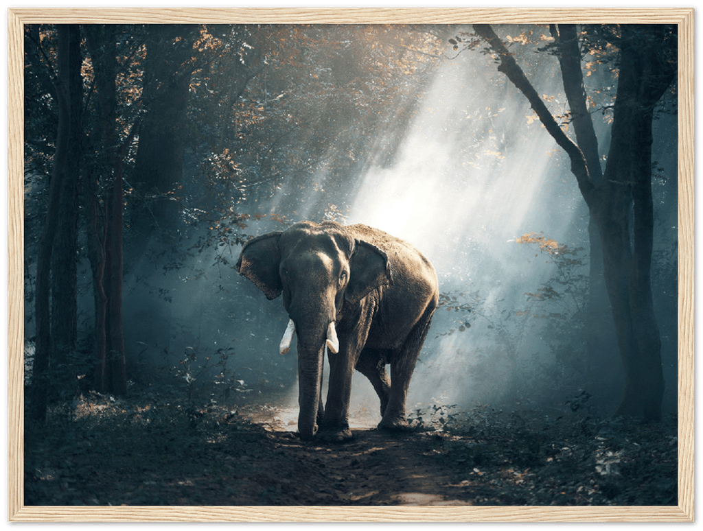 Elephant - Print - MetalPlex