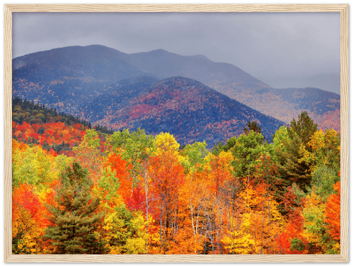 Fall Adirondack Mountains - Print - MetalPlex