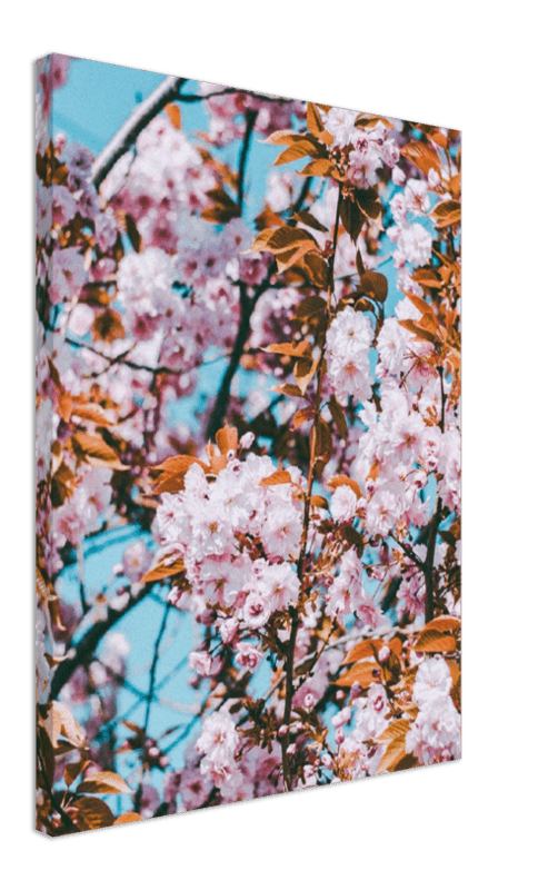 Floral - Print - MetalPlex