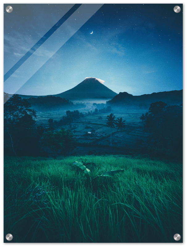 Grass Field Night - Print - MetalPlex