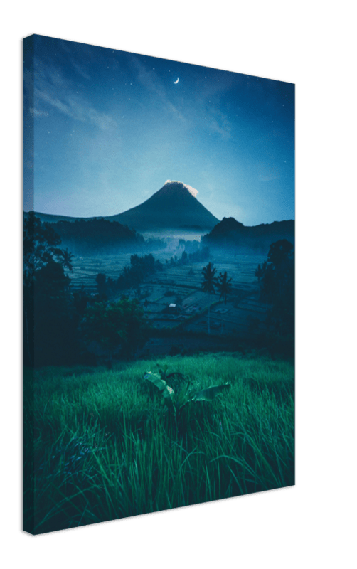 Grass Field Night - Print - MetalPlex