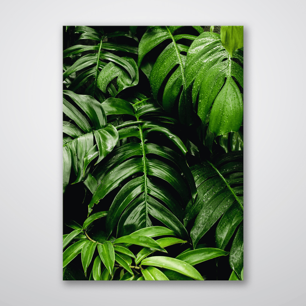 Green Leaves - Print - MetalPlex