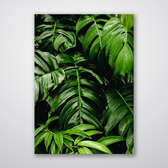 Green Leaves - Print