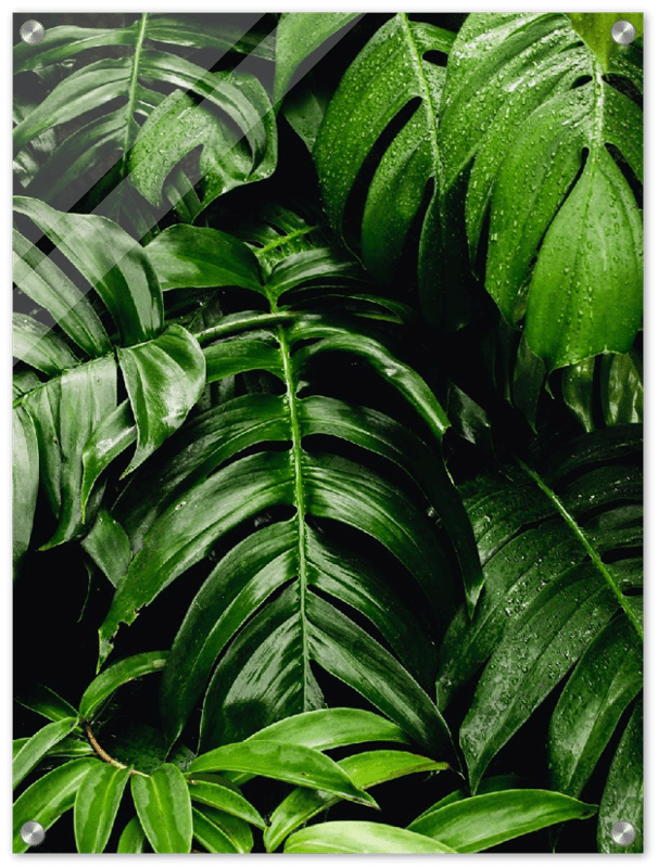 Green Leaves - Print - MetalPlex
