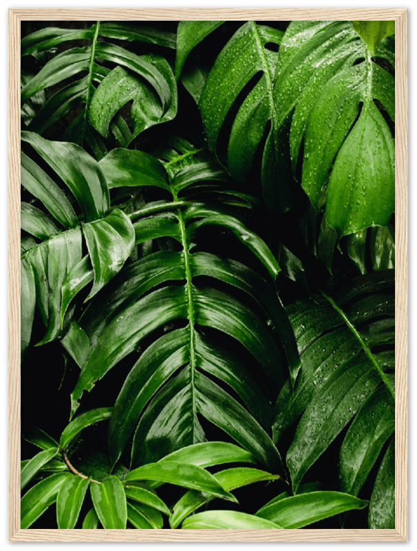Green Leaves - Print - MetalPlex
