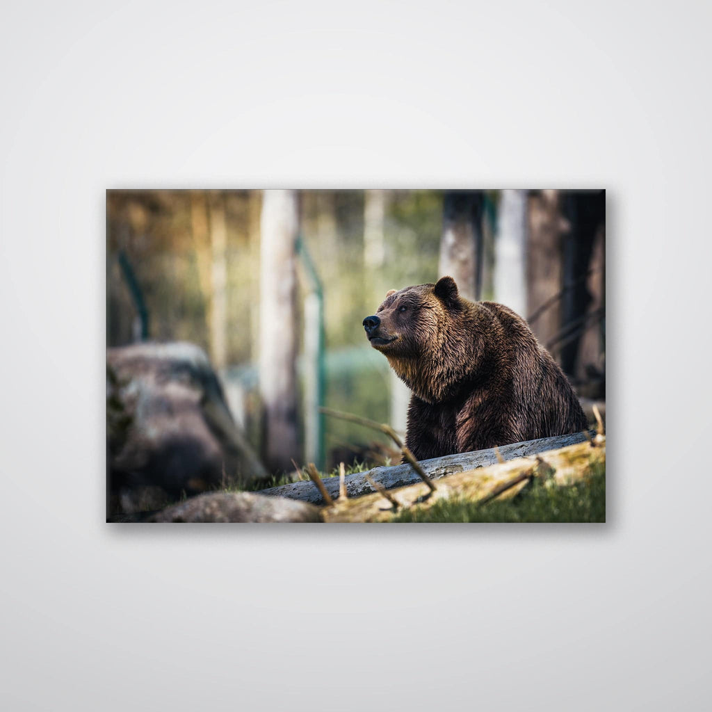 Happy Bear - Print - MetalPlex