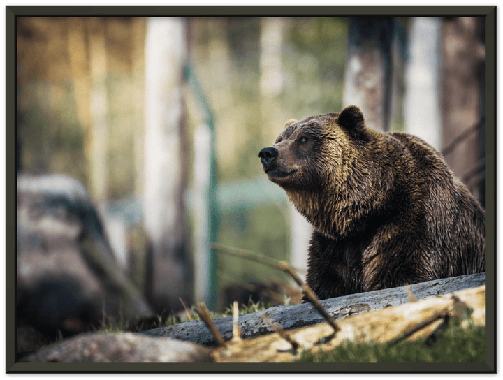 Happy Bear - Print - MetalPlex