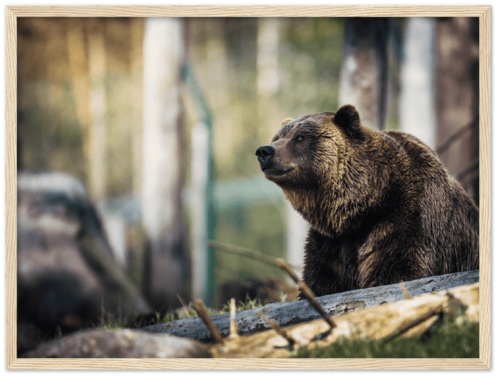 Happy Bear - Print - MetalPlex