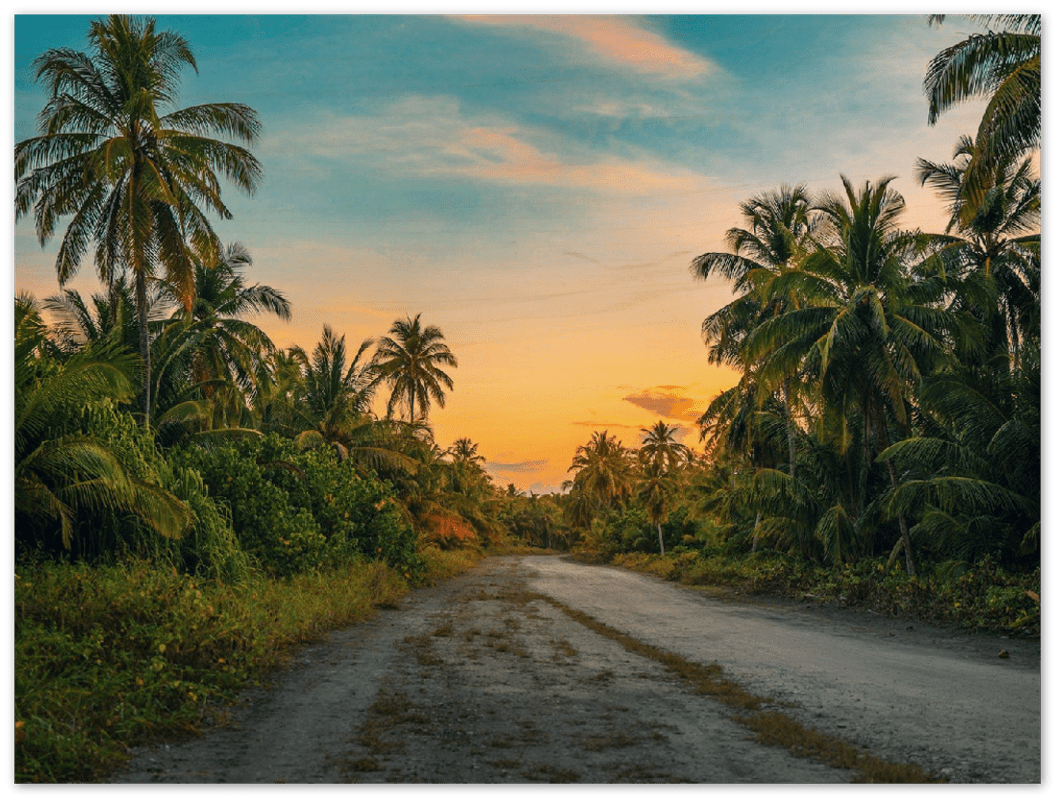 Hawaii Backroad - Print - MetalPlex
