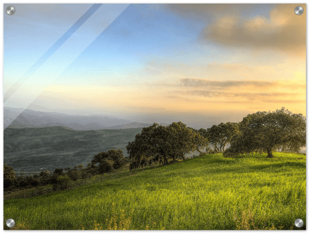 Hillside Trees - Print - MetalPlex
