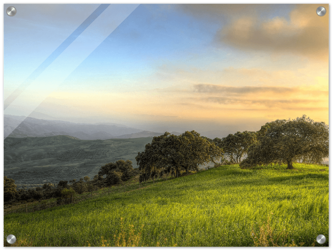 Hillside Trees - Print - MetalPlex