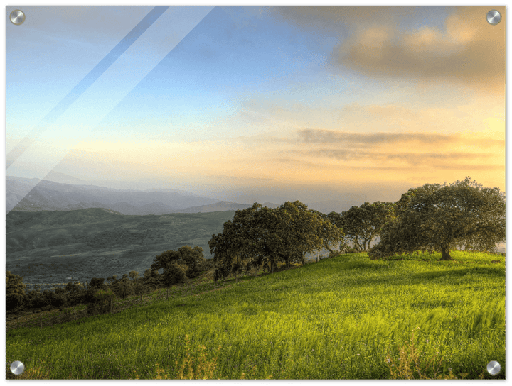 Hillside Trees - Print - MetalPlex