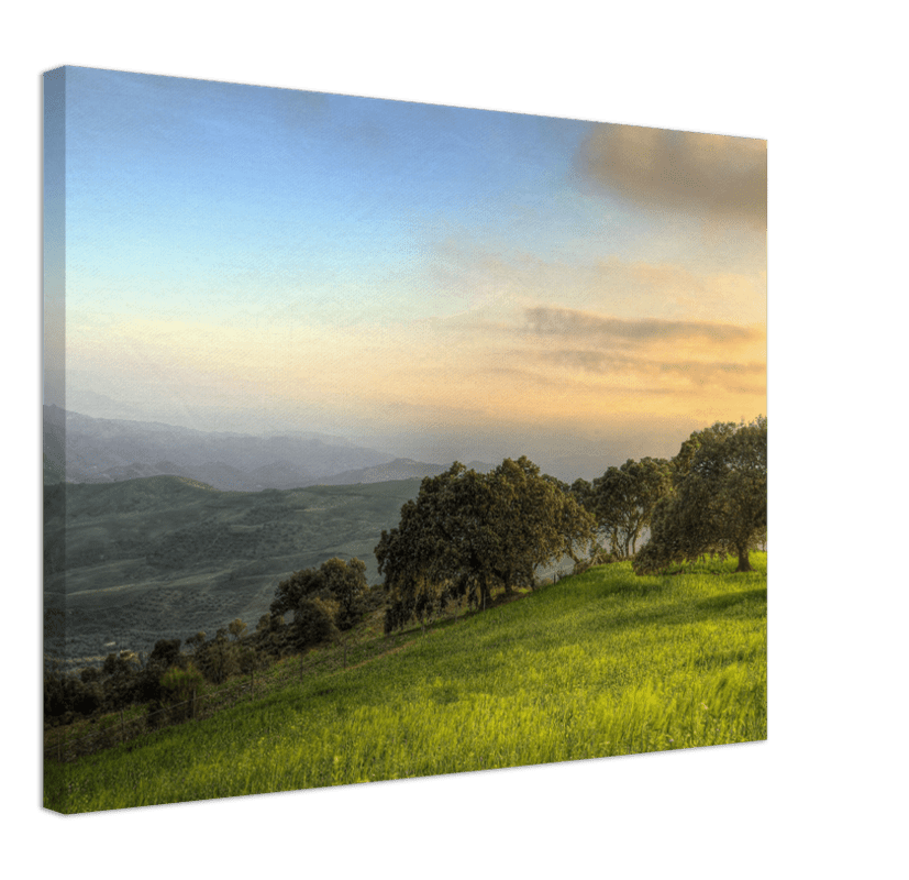 Hillside Trees - Print - MetalPlex