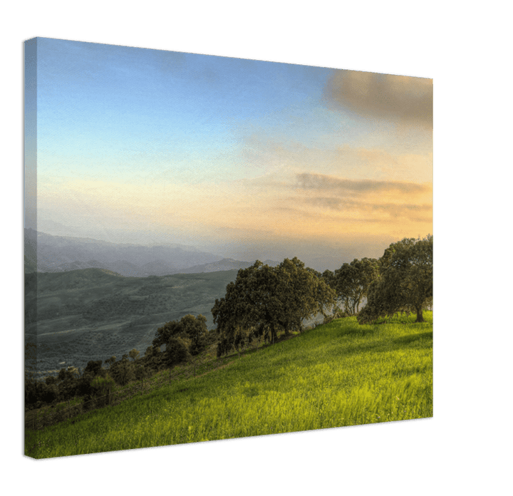 Hillside Trees - Print - MetalPlex