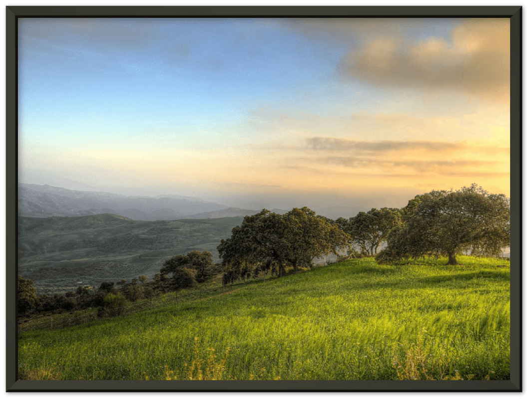 Hillside Trees - Print - MetalPlex