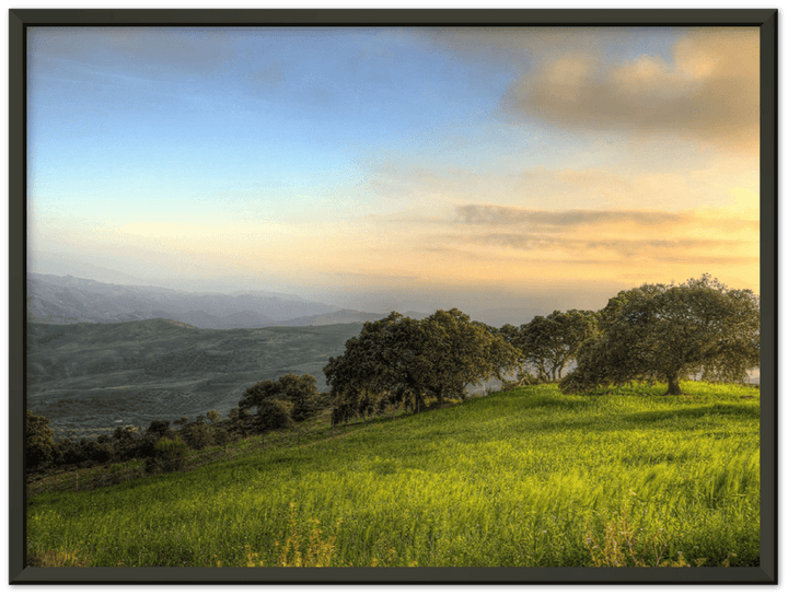 Hillside Trees - Print - MetalPlex