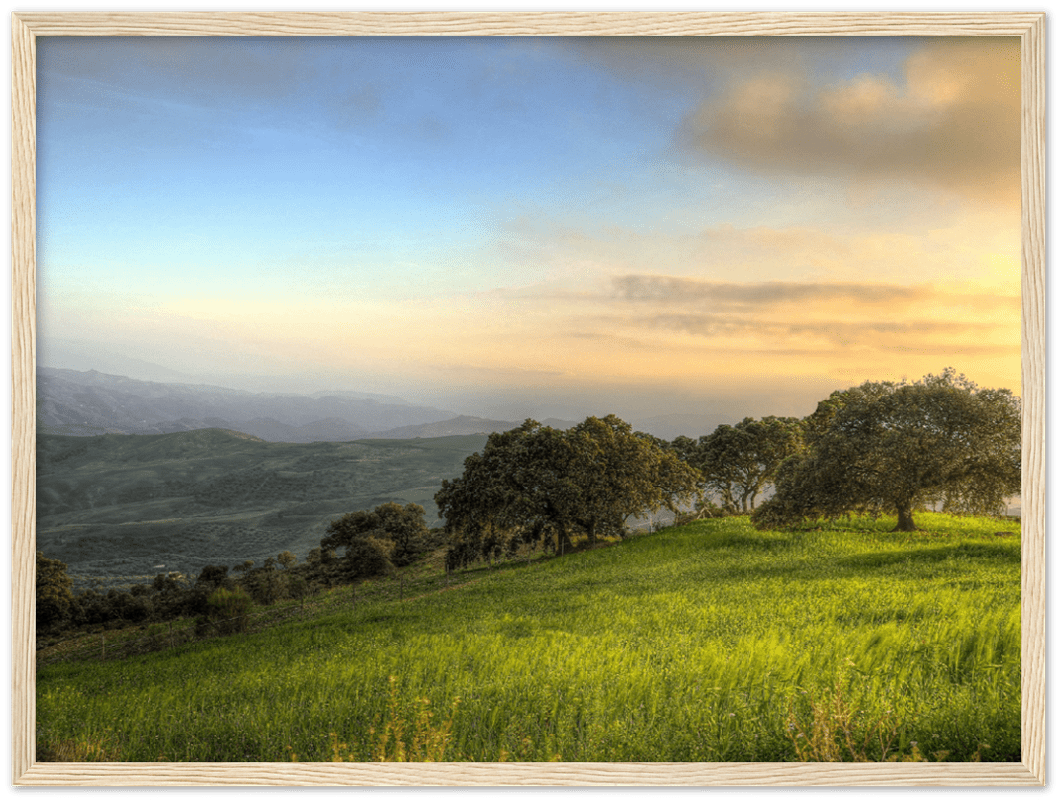 Hillside Trees - Print - MetalPlex