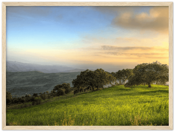 Hillside Trees - Print - MetalPlex