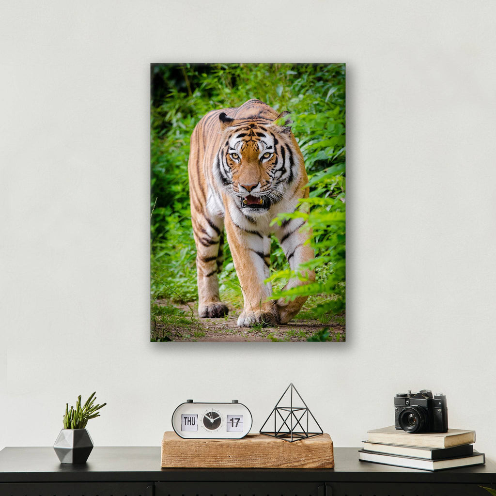 Hunting Tiger - Print - MetalPlex