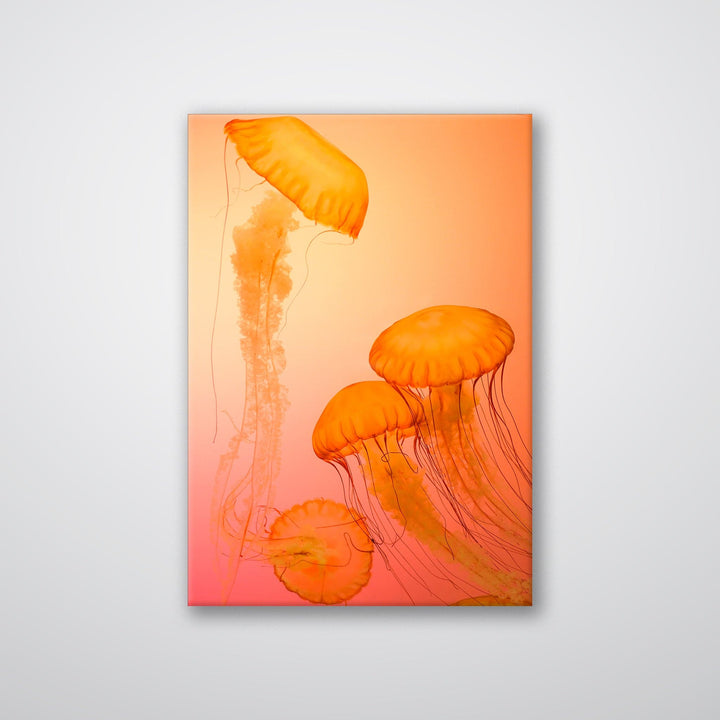 Jellyfish Alternative - Print - MetalPlex