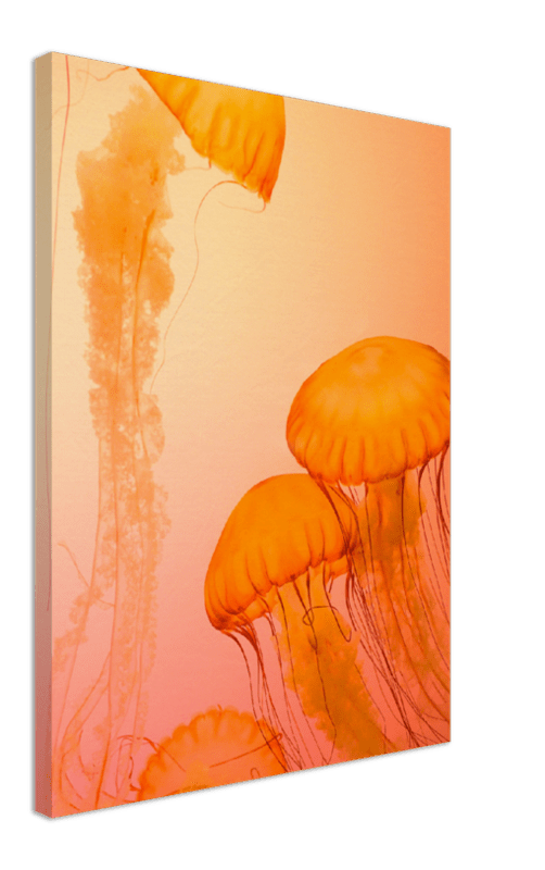 Jellyfish Alternative - Print - MetalPlex