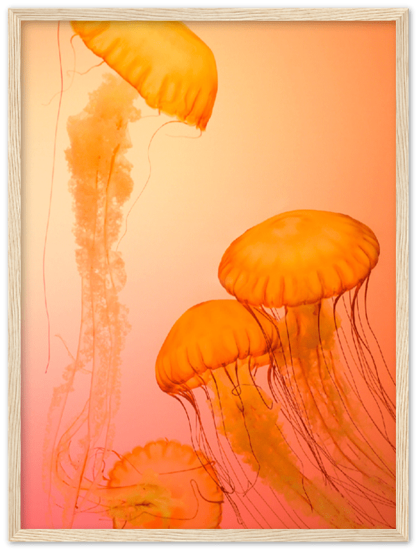 Jellyfish Alternative - Print - MetalPlex