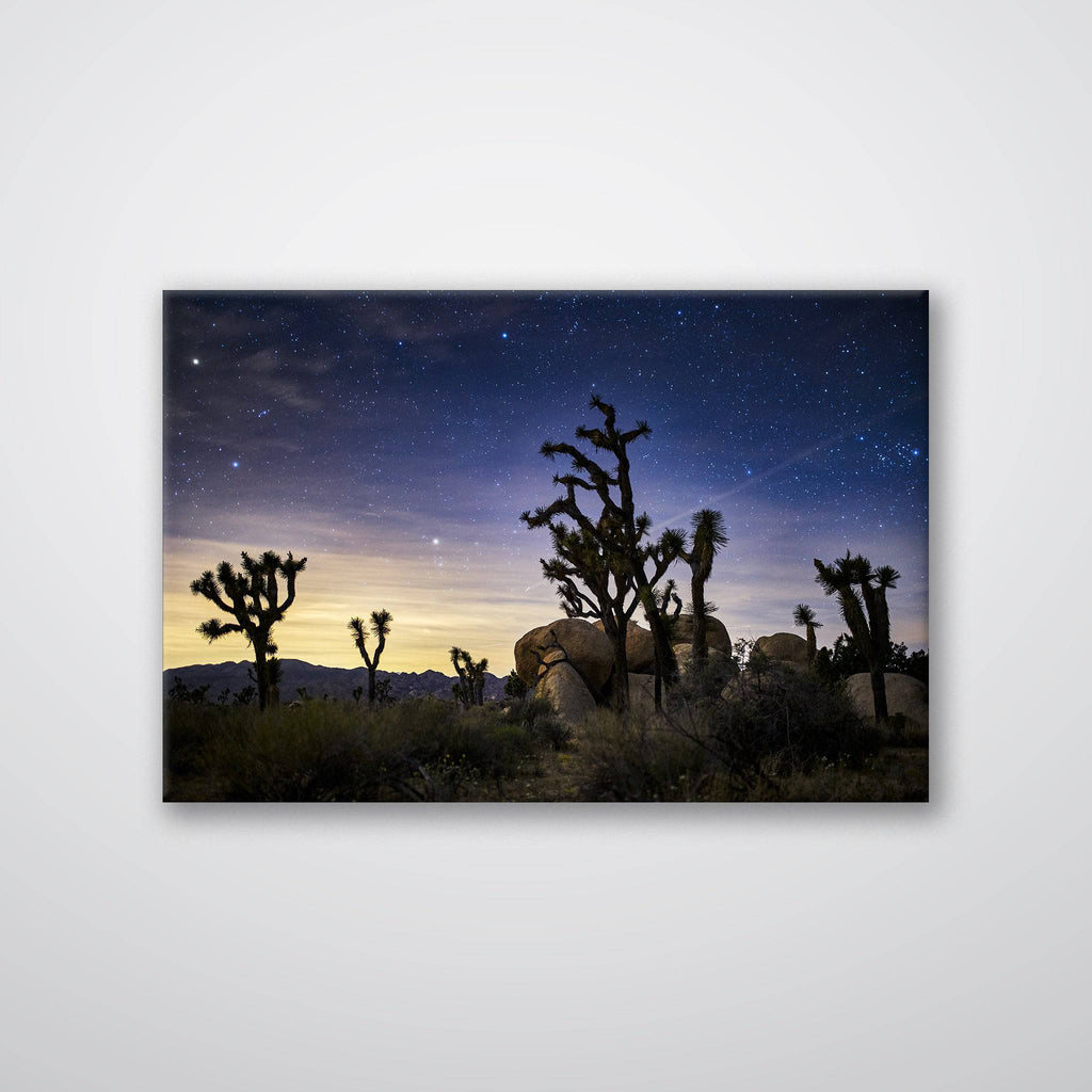 Joshua Tree - Print - MetalPlex