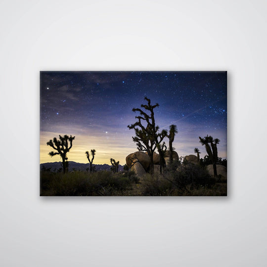 Joshua Tree - Print