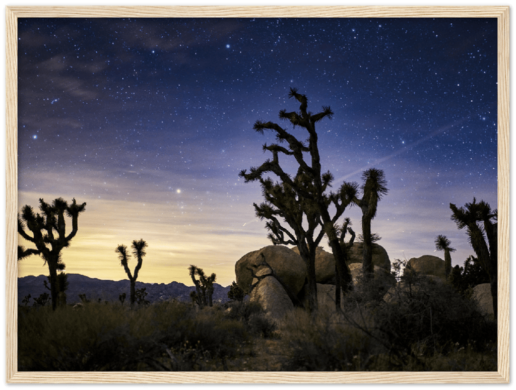 Joshua Tree - Print - MetalPlex