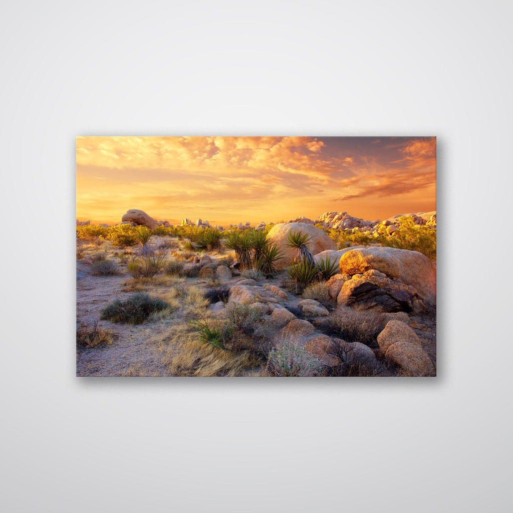 Joshua Tree Sunset - Print - MetalPlex