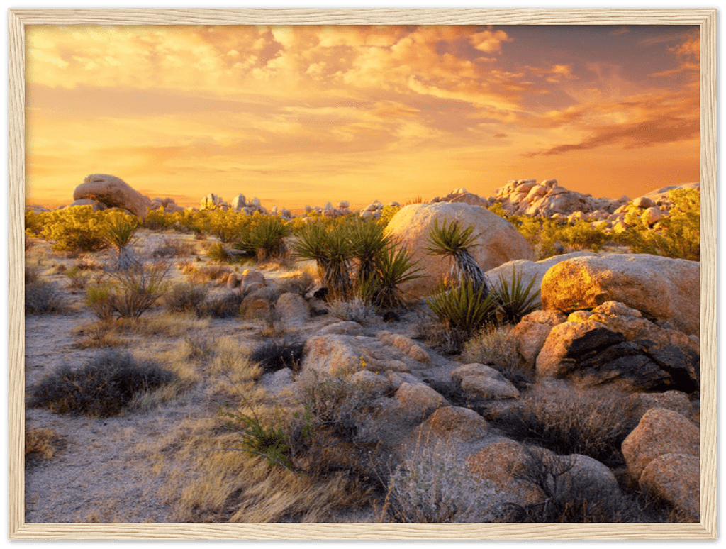 Joshua Tree Sunset - Print - MetalPlex