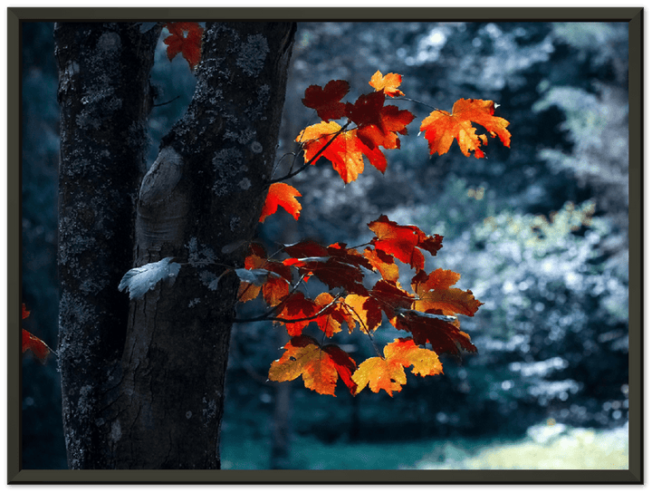 Maple Leaf - Print - MetalPlex