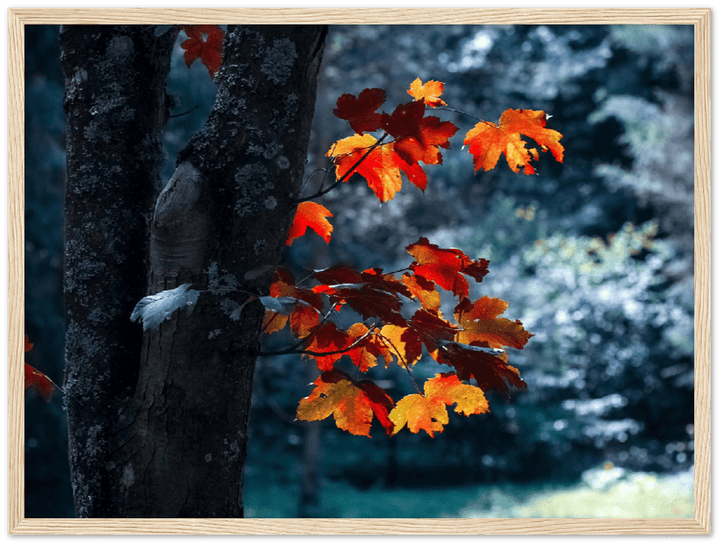 Maple Leaf - Print - MetalPlex