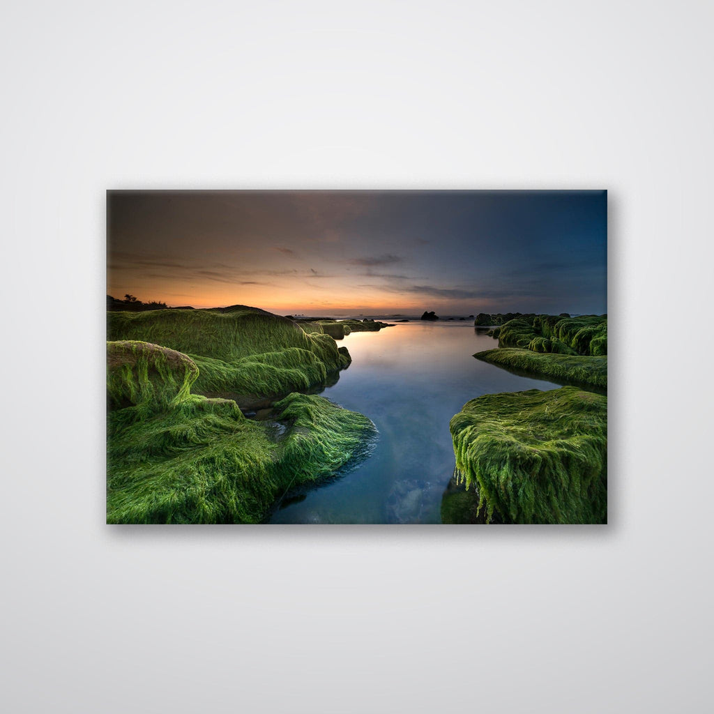 Mossy Beach - Print - MetalPlex
