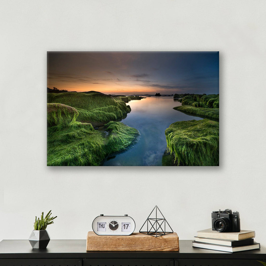 Mossy Beach - Print - MetalPlex