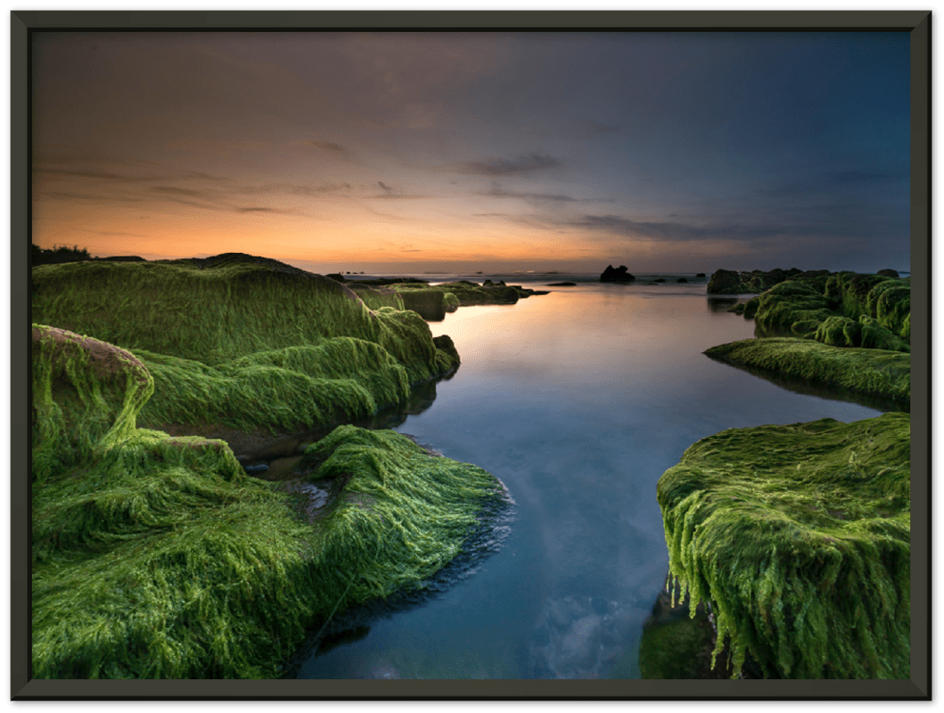 Mossy Beach - Print - MetalPlex