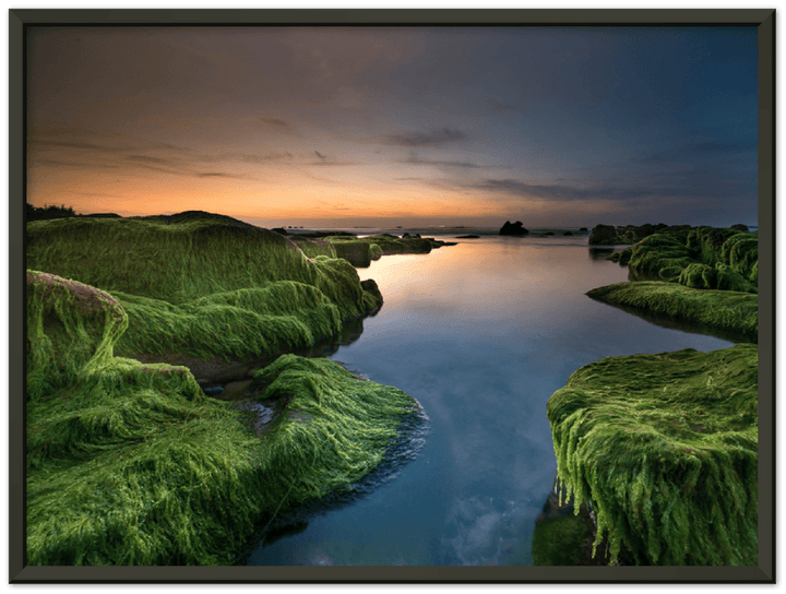 Mossy Beach - Print - MetalPlex