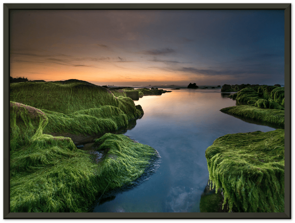 Mossy Beach - Print - MetalPlex