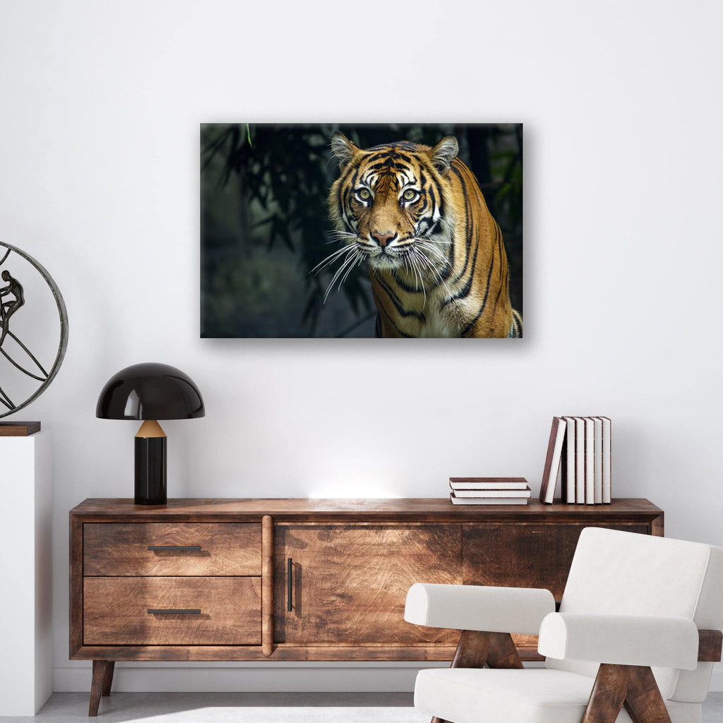 Prowling Tiger - Print - MetalPlex