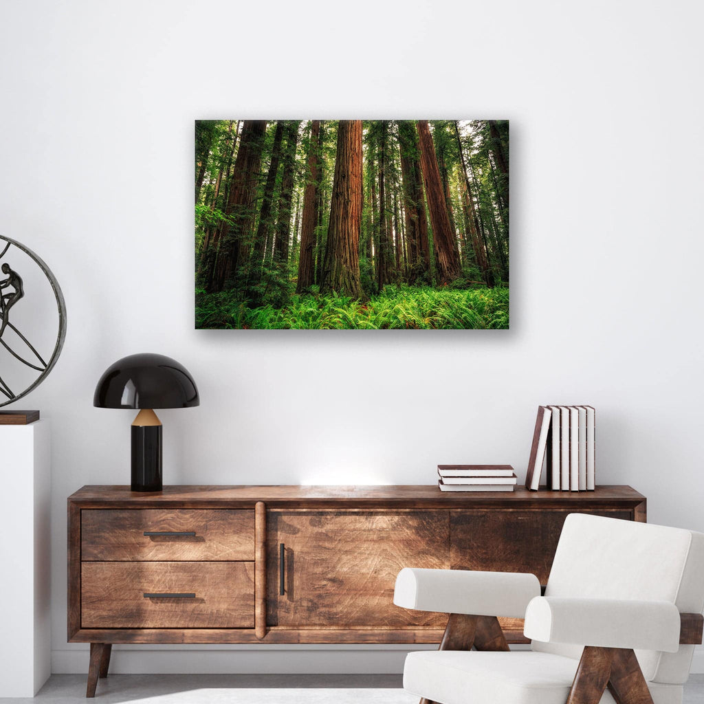 Redwood Ferns - Print - MetalPlex