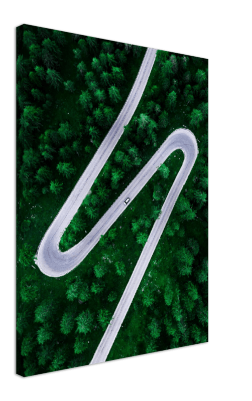 Road Through Forest - Print - MetalPlex